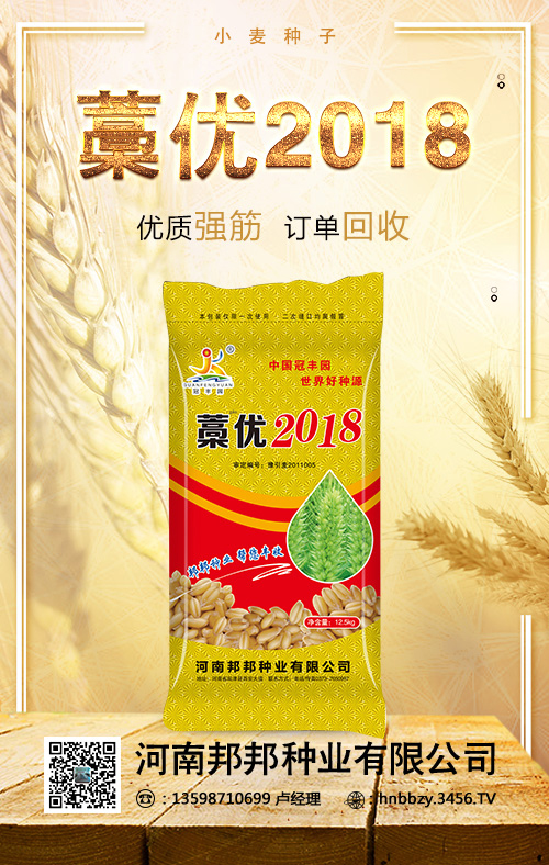 小麦不高产怎么办?邦邦种业,帮您丰收! 小麦不高产怎么办?邦邦种业,帮您丰收!