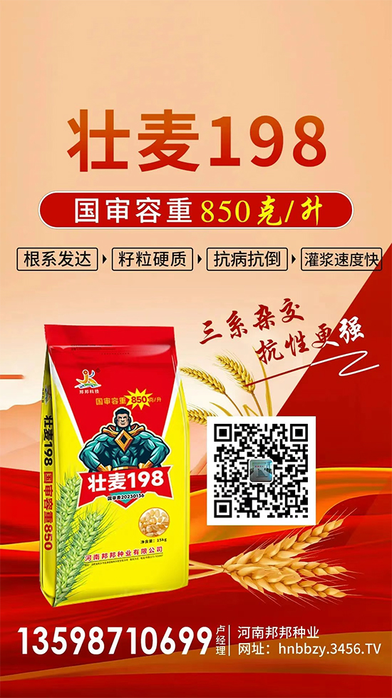 娌冲崡閭﹂偊绉嶄笟鏈夐檺鍏徃8.jpg 娌冲崡閭﹂偊绉嶄笟鏈夐檺鍏徃8.jpg
